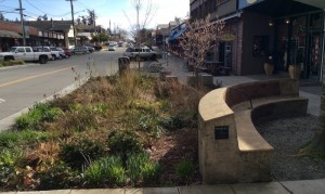 Well-designed seats and benches serve customers and employees, providing places for rest, restorative moments, and people watching. Photo credit: Kathleen Wolf
