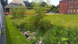 The Greene Street Friends School is an example of a Stormwater Management Incentives Program retrofit. Half of the school parking lot was turned into a rain garden, making the school more attractive for students. Image by PWD.