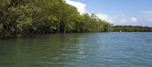 Green Infrastructure solutions include techniques such as constructing wetlands, reconnecting rivers to floodplains, wetland conservation and introducing flood bypasses. Photo credit: UNEP