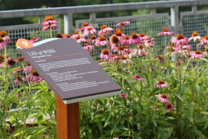 When WSSI cannot provide a guided tour of its LID facilities, visitors can read the signage posted at each practice. WSSI also has a training room where staff and local government employees can learn from each other and invited speakers. Image credit: WSSI