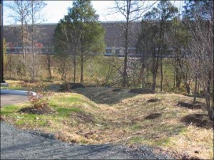 An 84-m (275-ft) meandering bioswale with three check dams helps slow runoff before it enters an existing stream channel. The bioswale collects runoff from 1175 sq m (12,650 sf) and cost $40/sq m ($3.68/sf). Image credit: WSSI