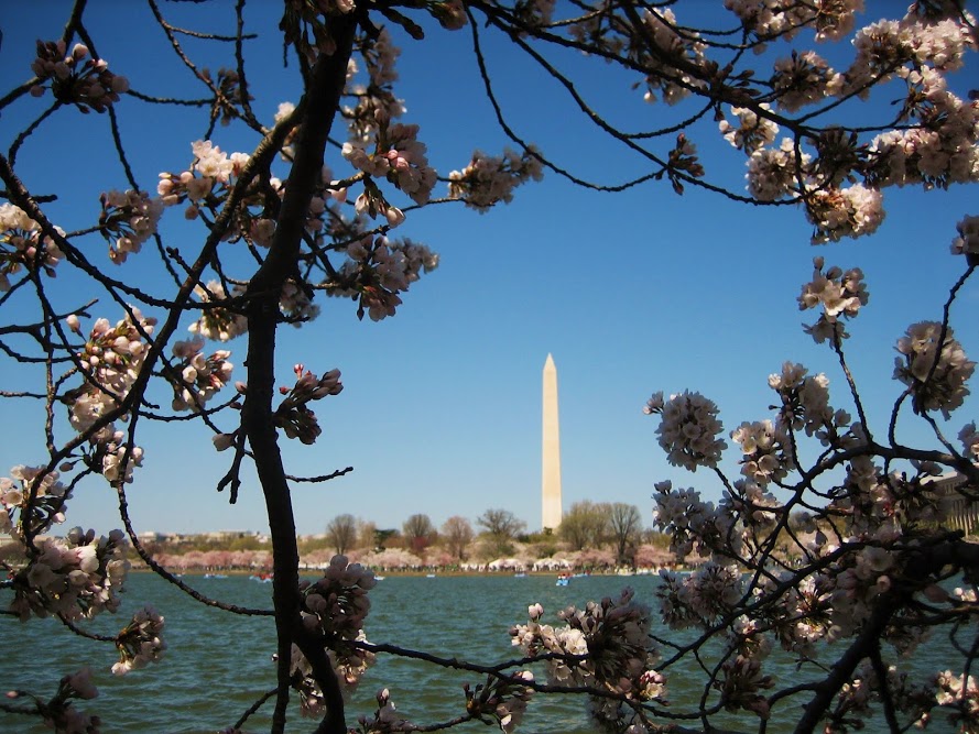 DC Water issues first of its kind bond to fund DC Clean Rivers Project