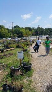 Though the East Capitol Urban Farm (Washington, D.C.) has only existed since late 2015, it has proven to be a valuable resource allowing Green Zone Environmental Program participants to engage green infrastructure rather than simply to learn about it. (Photo courtesy Seth Brown)