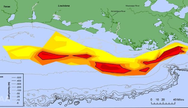 Hurricane Hanna Hampers Annual Gulf of Mexico Dead Zone Survey