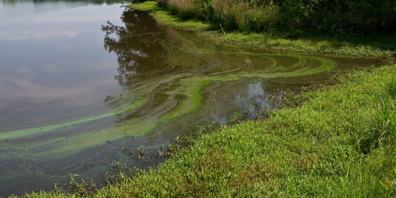 Studies Explore Complex Relationship Between Stormwater and Groundwater