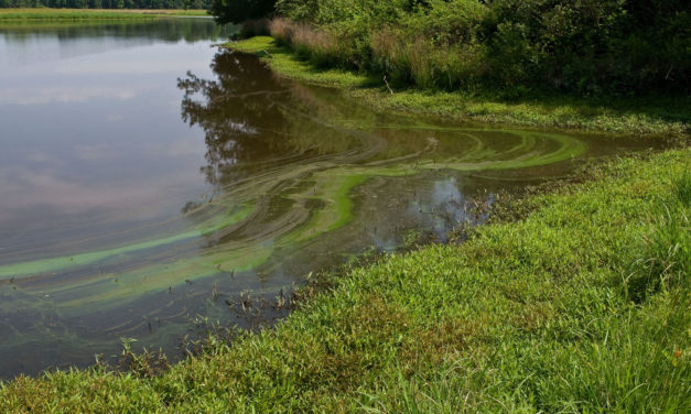 Studies Explore Complex Relationship Between Stormwater and Groundwater